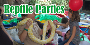 Reptile party